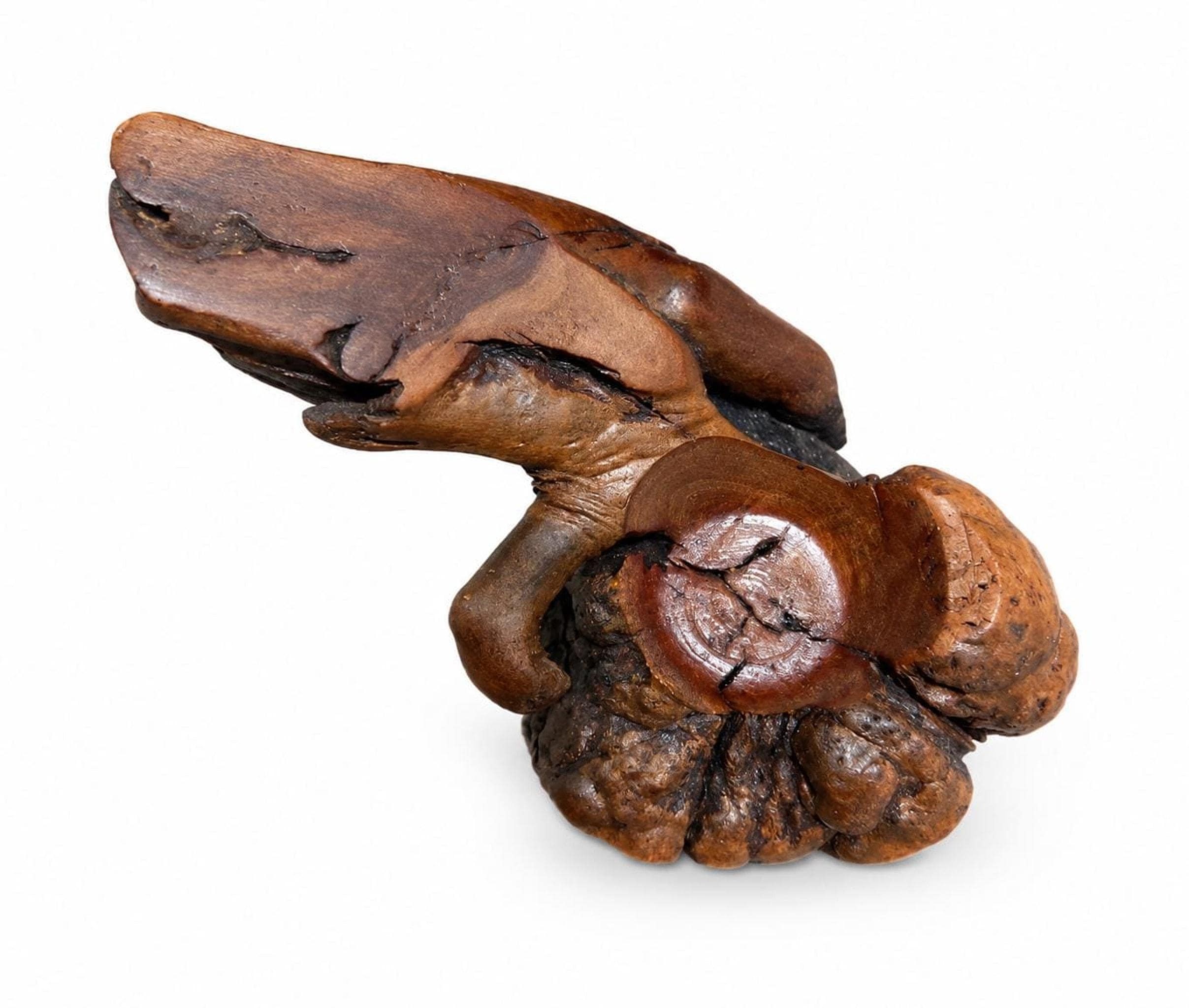 Vintage Burl Wood Sculpture 'Margarita', Organic Modern Root Art Piece, view 2