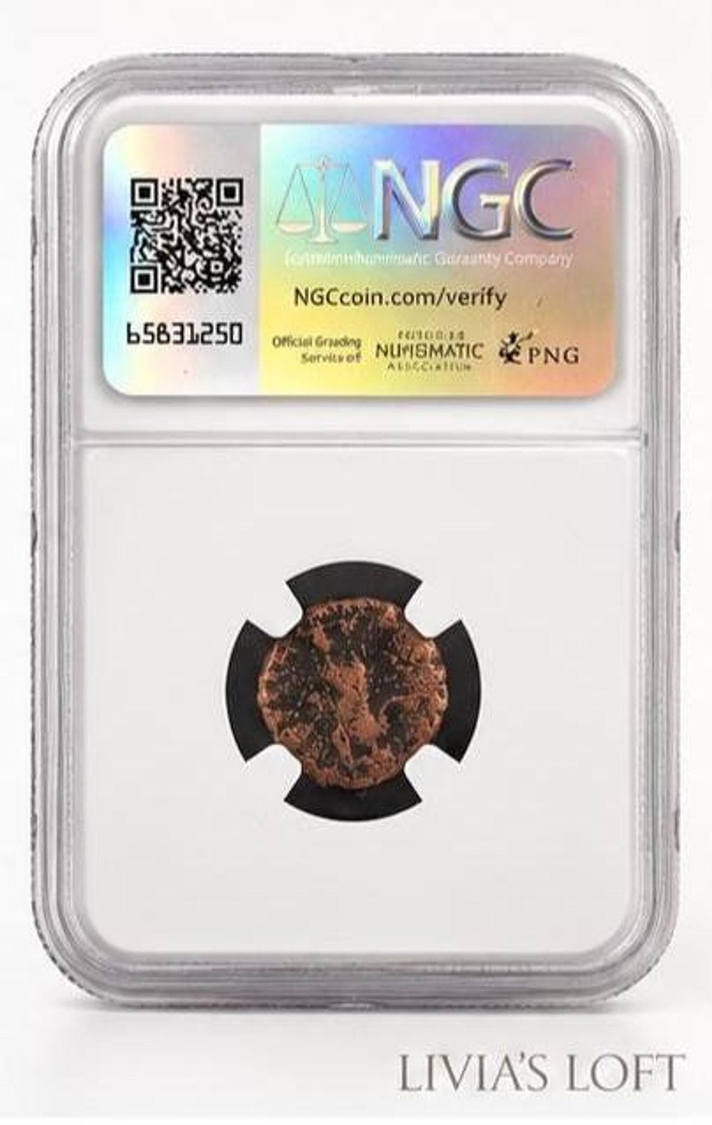 Ancient Roman Coin, Julian II Bronze Half-Centenionalis NGC Certified, view 3
