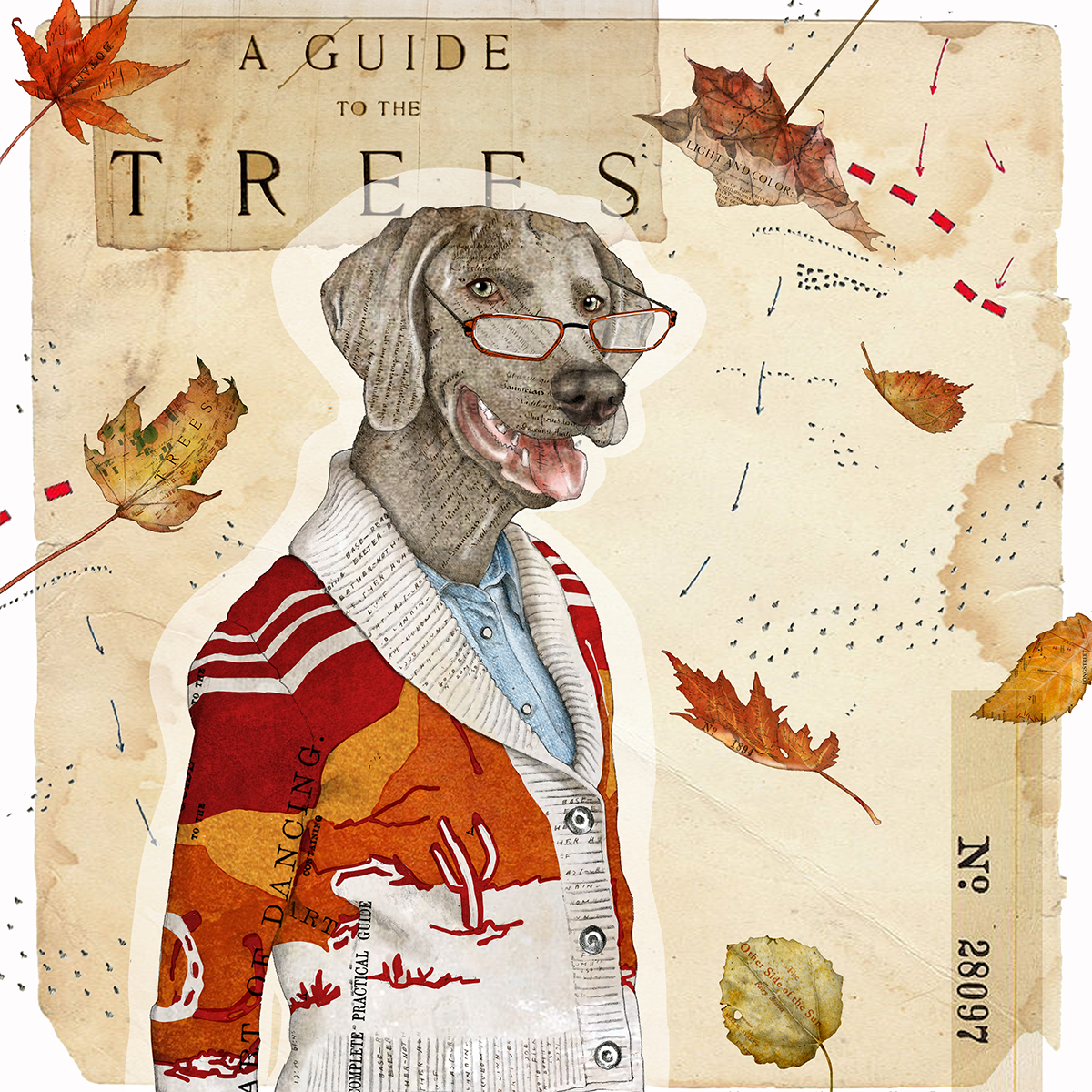 Animal illustration 3