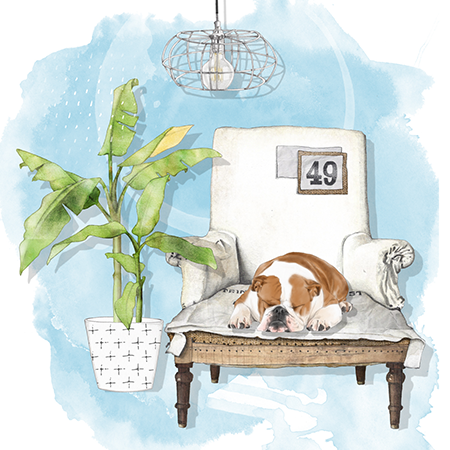 Animal illustration 9
