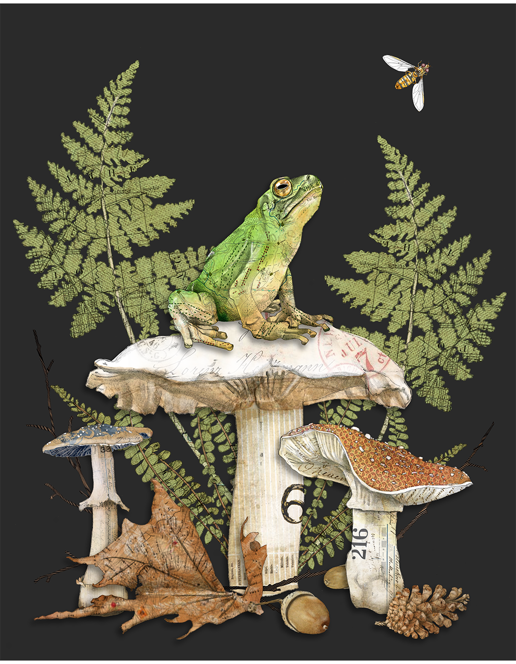 Mushrooms & woodland artwork by Christine Anderson, example 8