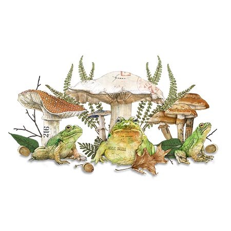 Mushrooms & woodland artwork by Christine Anderson, example 9