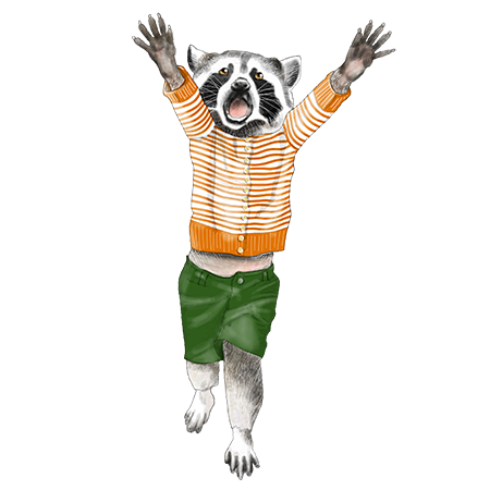 Hand-drawn raccoon character illustration by Christine Anderson