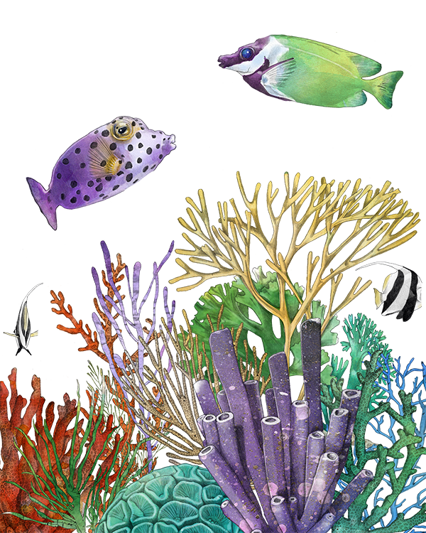 Bright fish collection by Christine Anderson, example 3