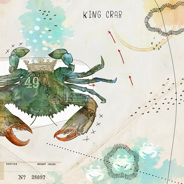 Sea creature collection by Christine Anderson, example 2