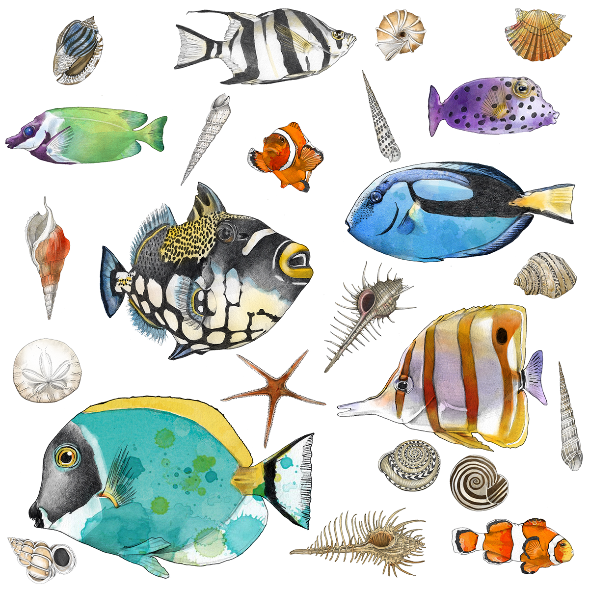 Bright fish collection by Christine Anderson, example 1