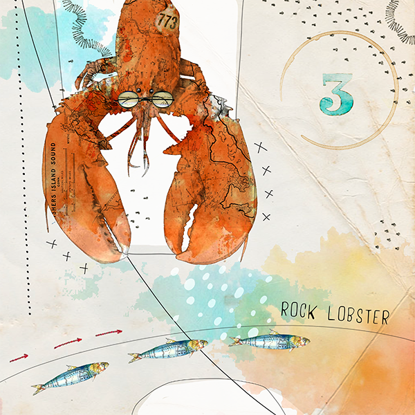 Sea creature collection by Christine Anderson, example 3