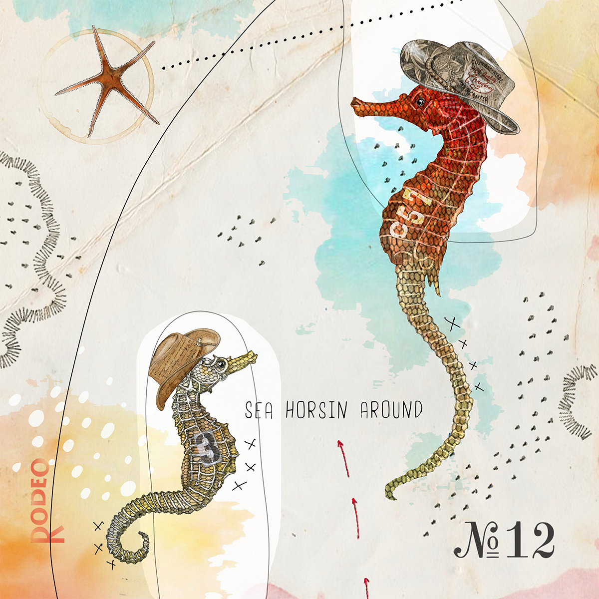 Sea creature collection by Christine Anderson, example 5