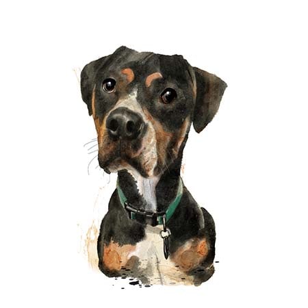 Portrait artwork by Christine Anderson, example 4