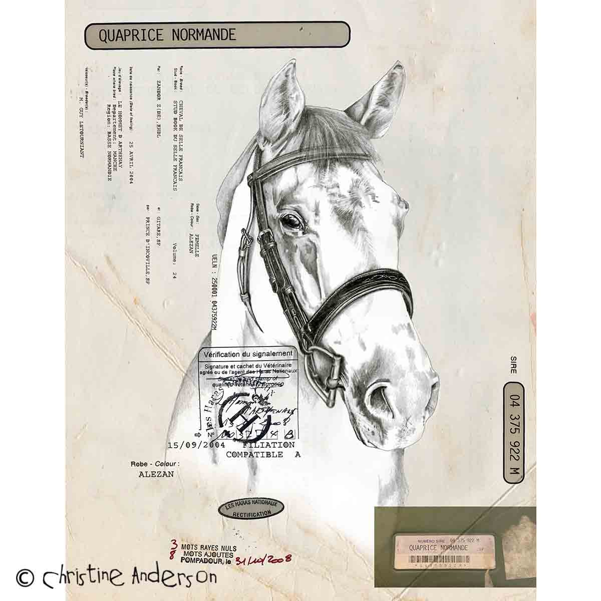 Portrait artwork by Christine Anderson, example 3