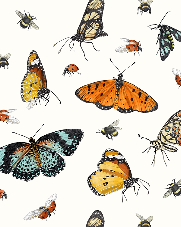 Christine Anderson bugs and butterflies pattern illustration