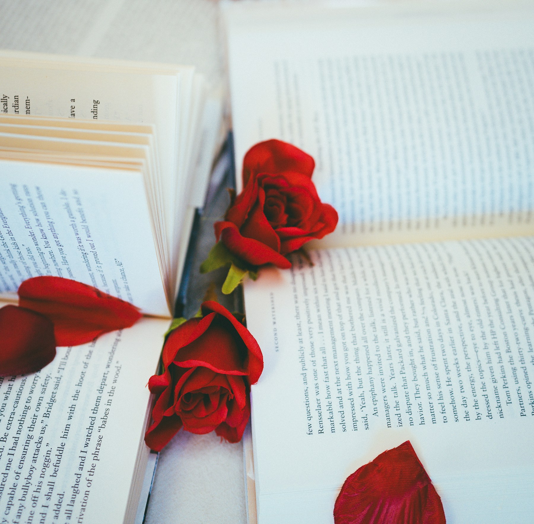 Open books with red roses arranged between their pages