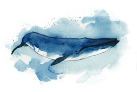 What Does Pranic Healing Have to Do with a Whale? reflection image