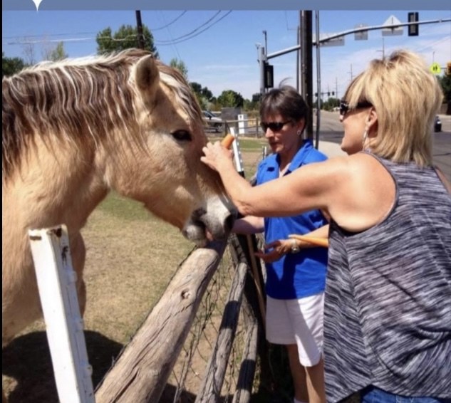 Sister Keri and Sister-in-law Bonnie caring for a hungry horse