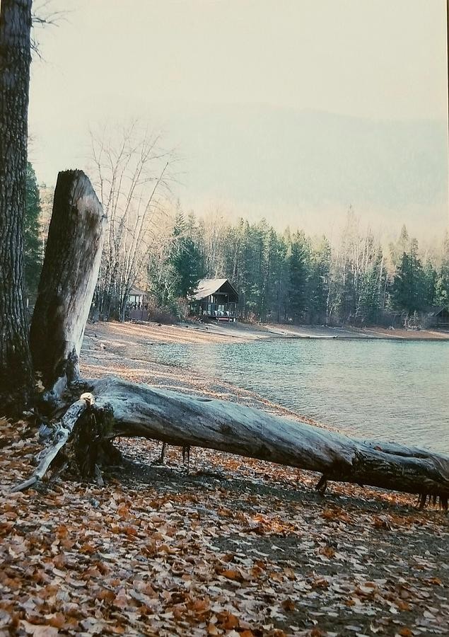Glacier Park Cabins, Montana & Nature collection