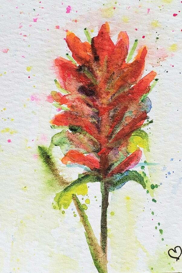 Indian Paintbrush, artwork by Deahn Benware