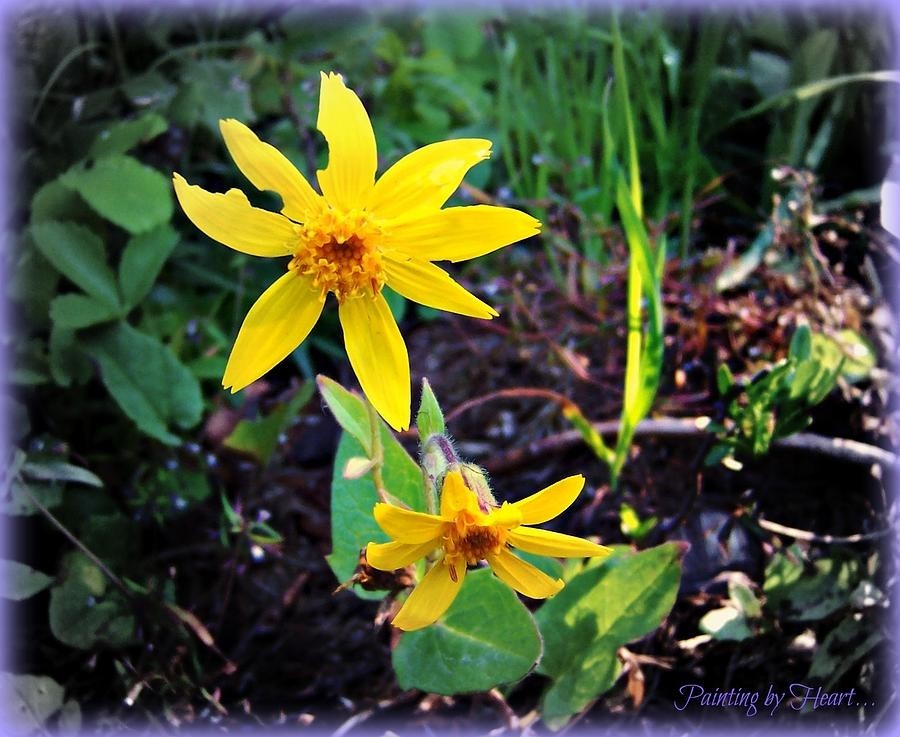 Woods Flower, artwork by Deahn Benware