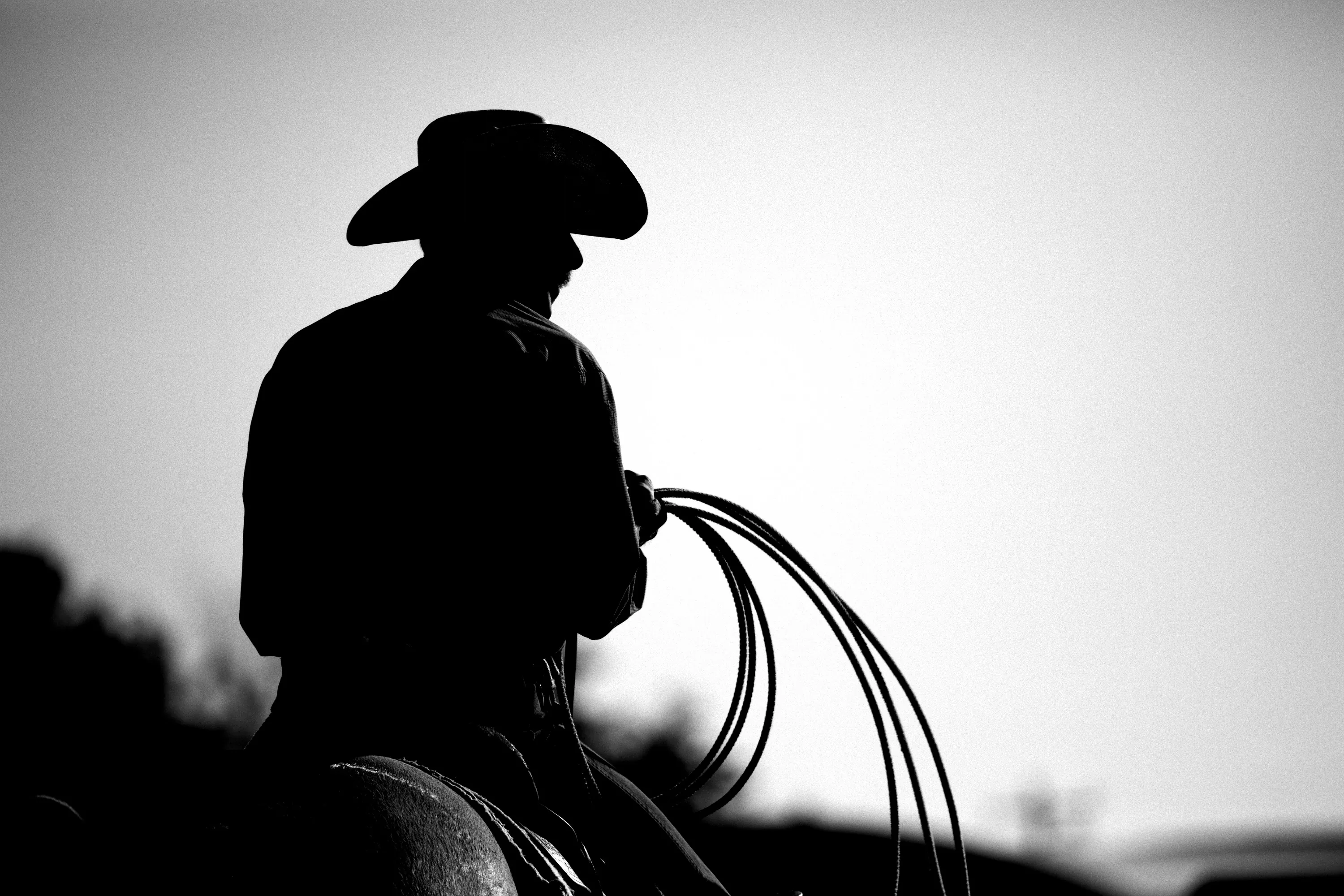 Horse and rider working together in an outdoor arena