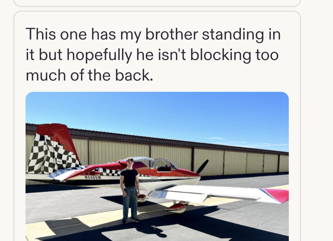 A customer message with a reference photo for a commissioned airplane painting