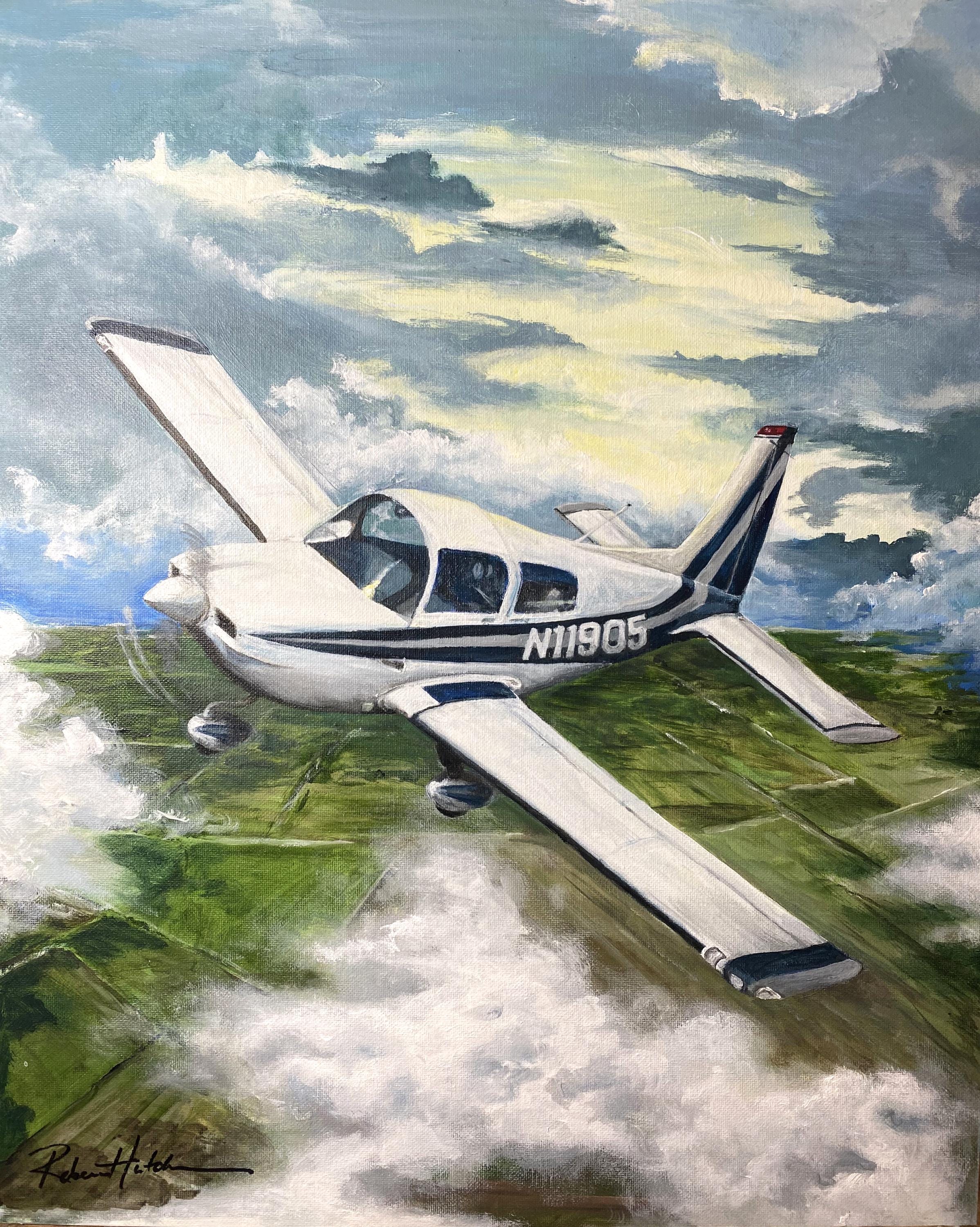 Custom Grumman AA-5 Tiger Aircraft Painting | Hand-Painted Aviation Wall Art