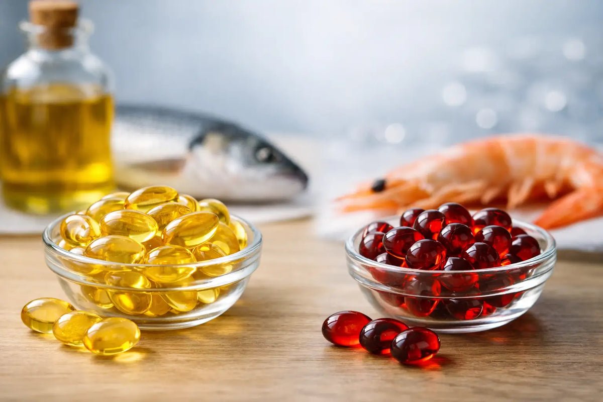 Fish Oil vs Krill Oil: Which Fits Your Routine?