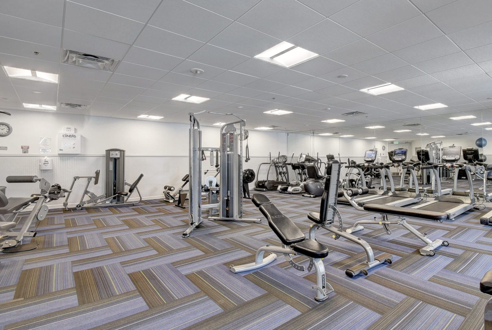 Strength and cardio equipment at Platina