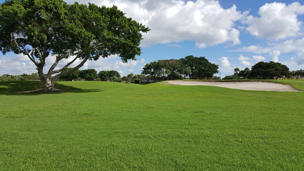 Golf course at Kings Point