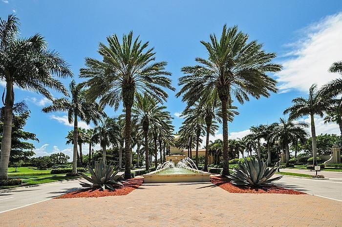 Palm-lined boulevard at Valencia Palms