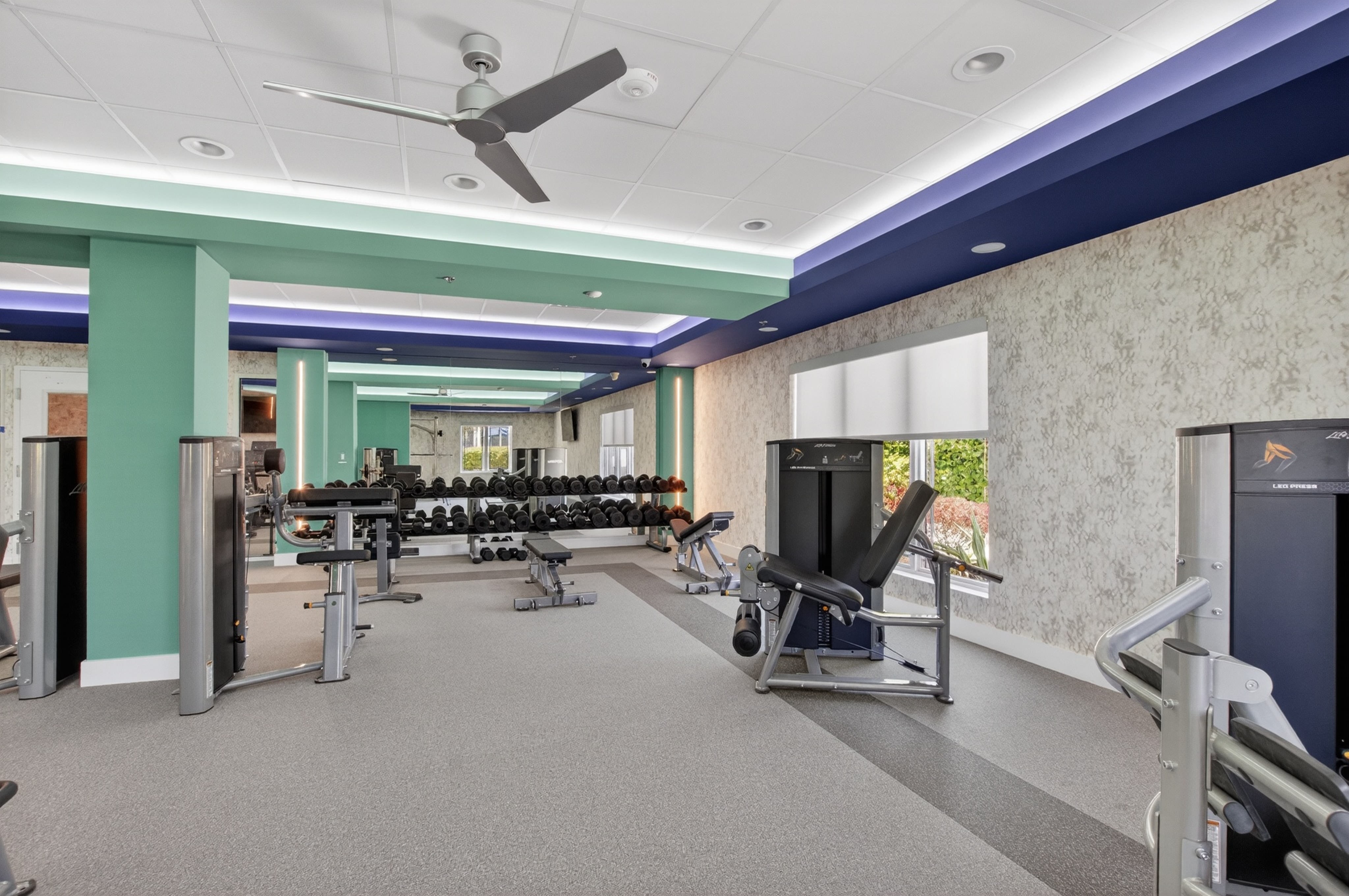 Palm Isles fitness center with cardio machines, strength equipment, and large windows
