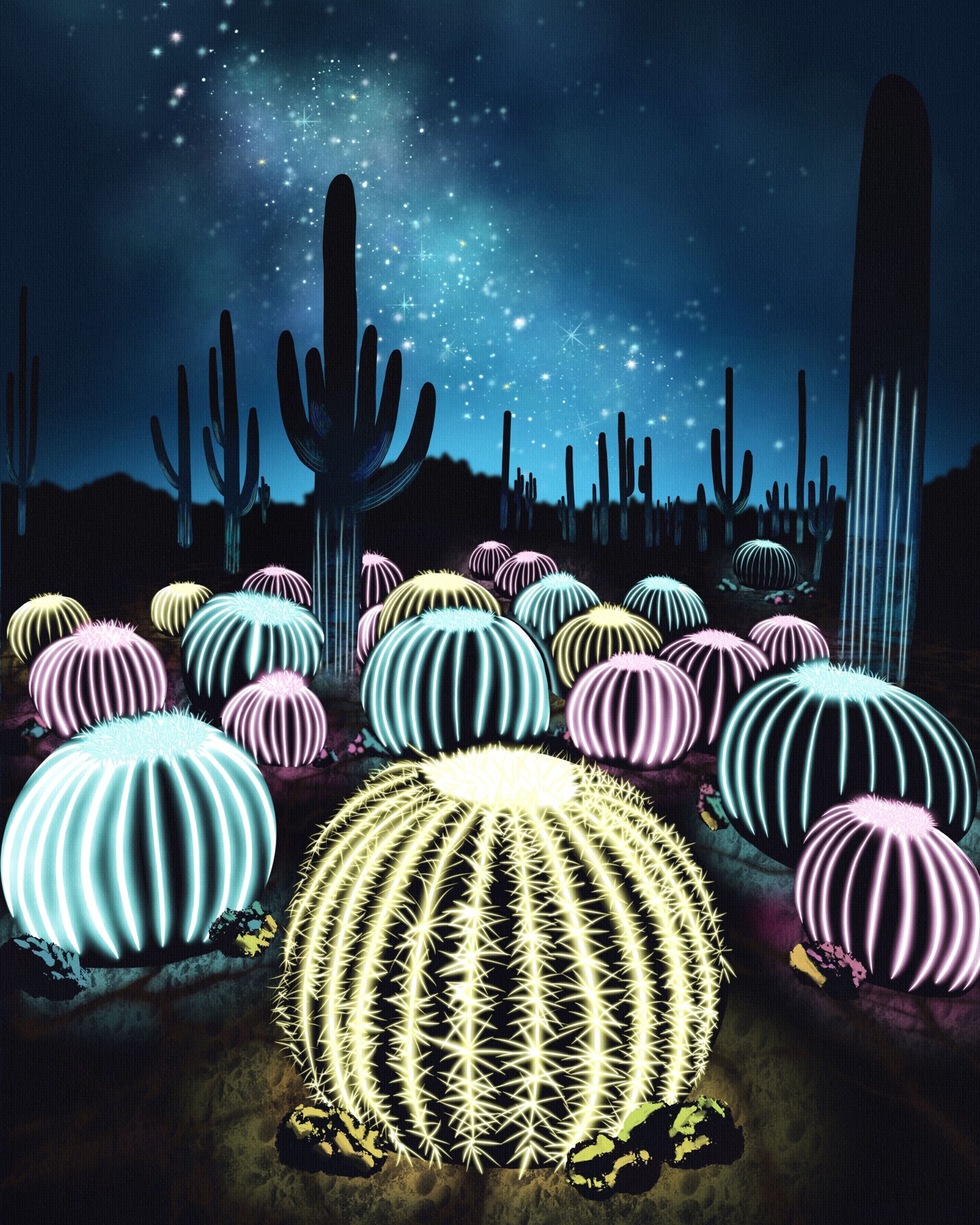 Cacti Constellations fine art print