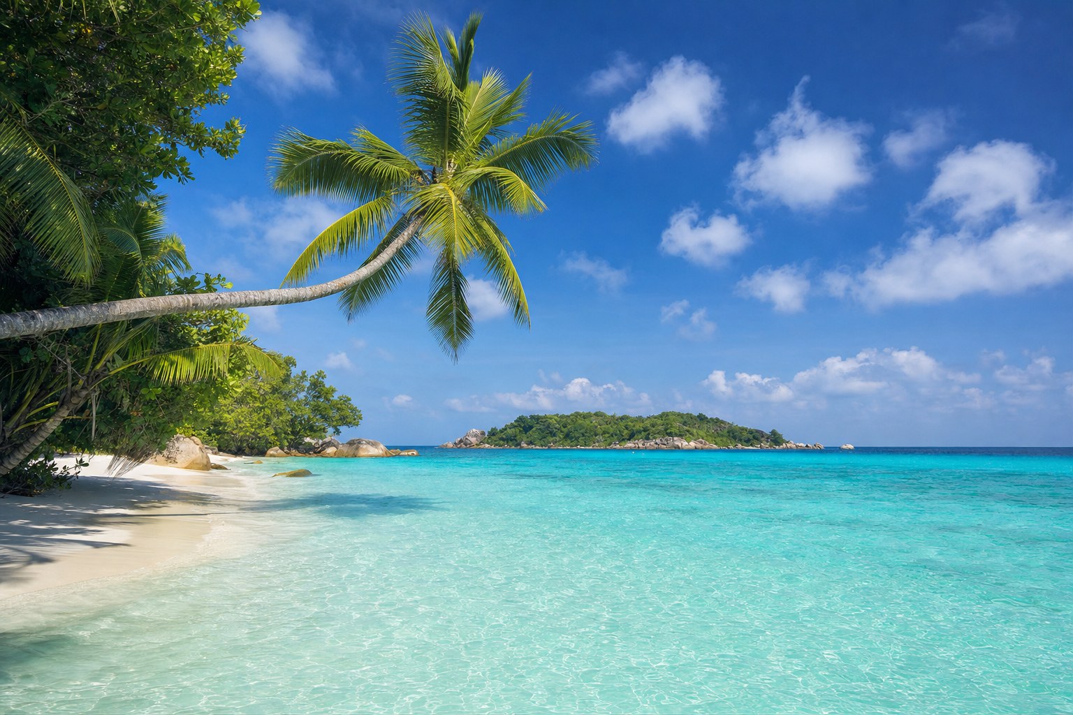 Palm-lined Caribbean beach and turquoise water