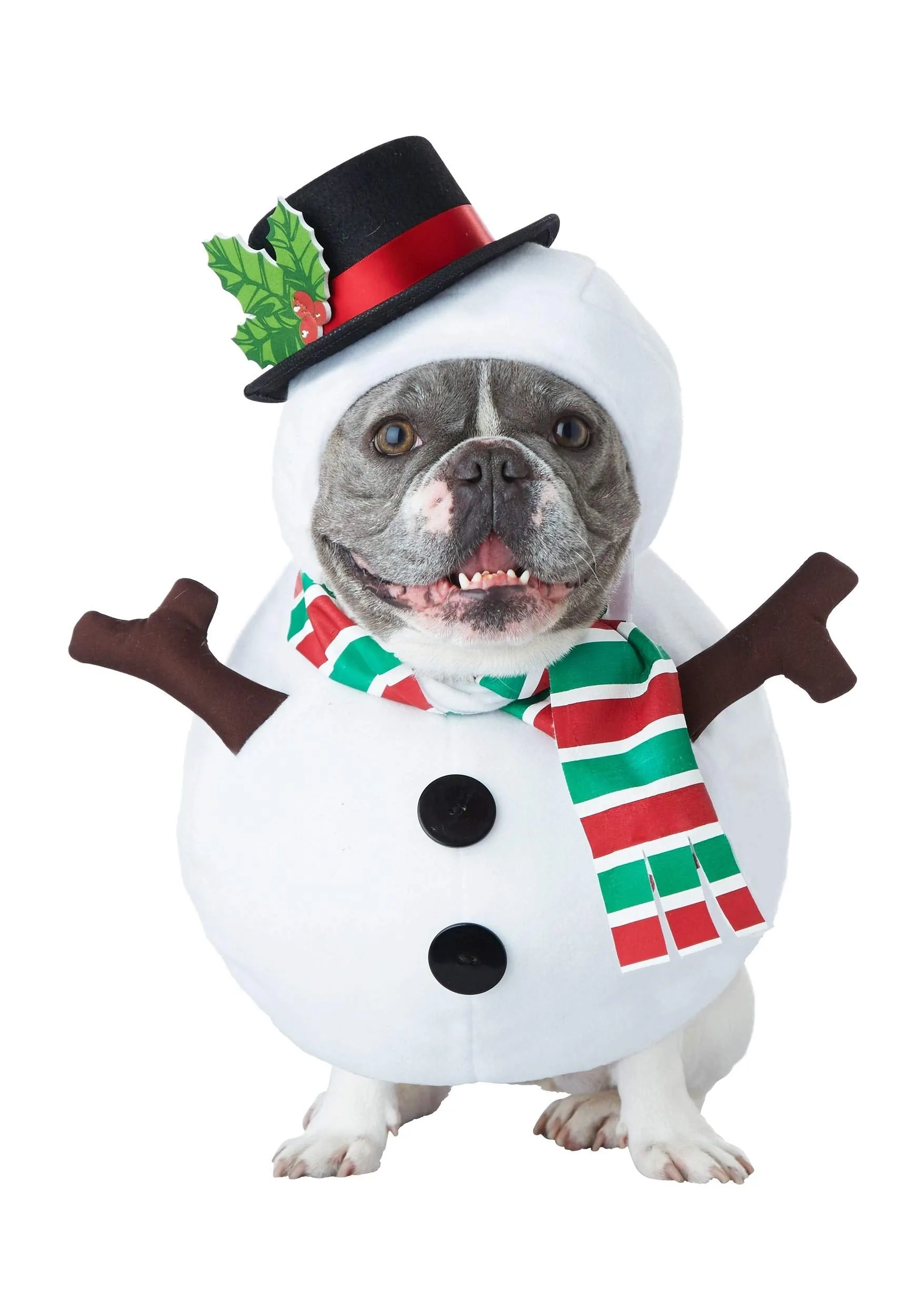 Dog Snowman Christmas Costume