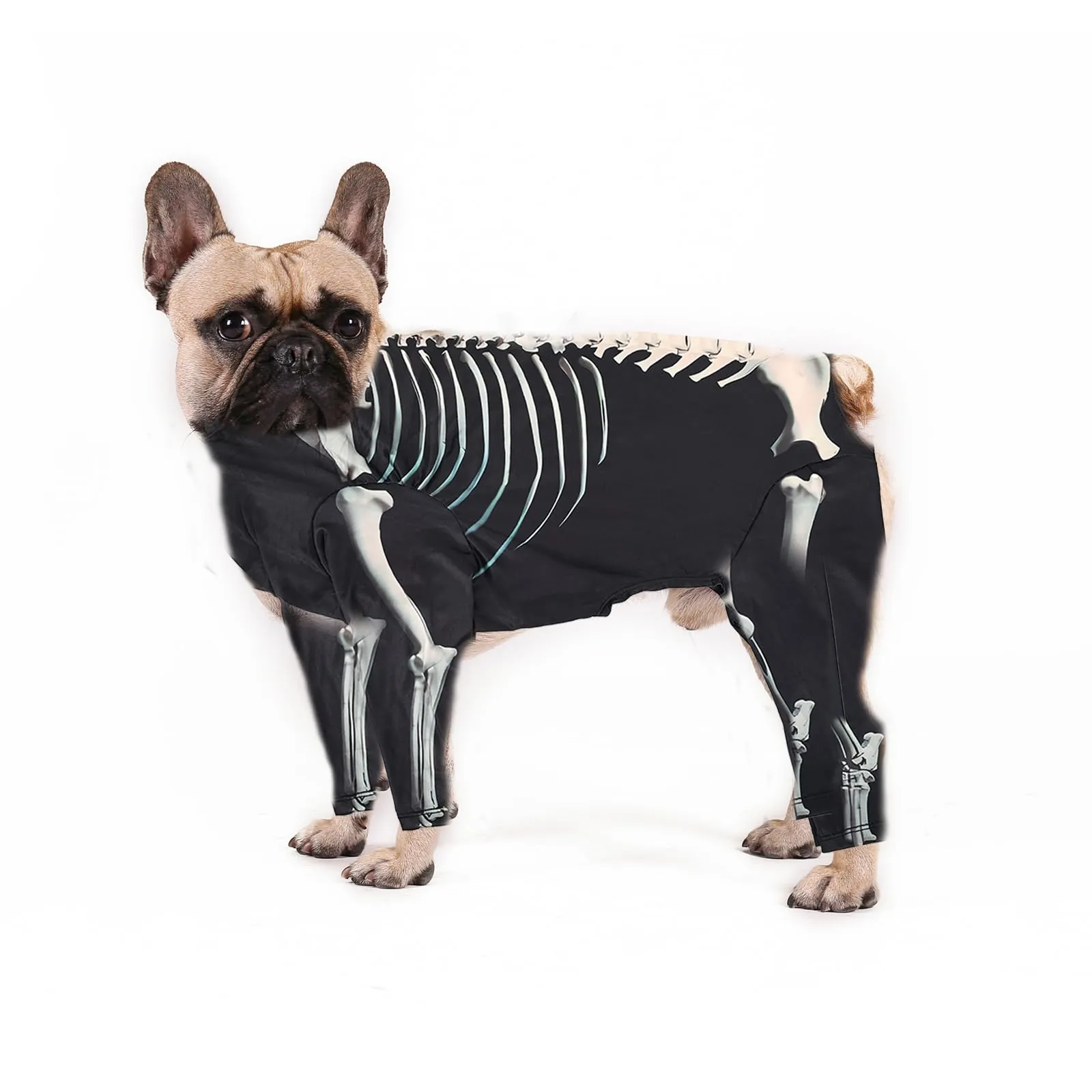 Dog Skeleton Halloween Jumpsuit Costume