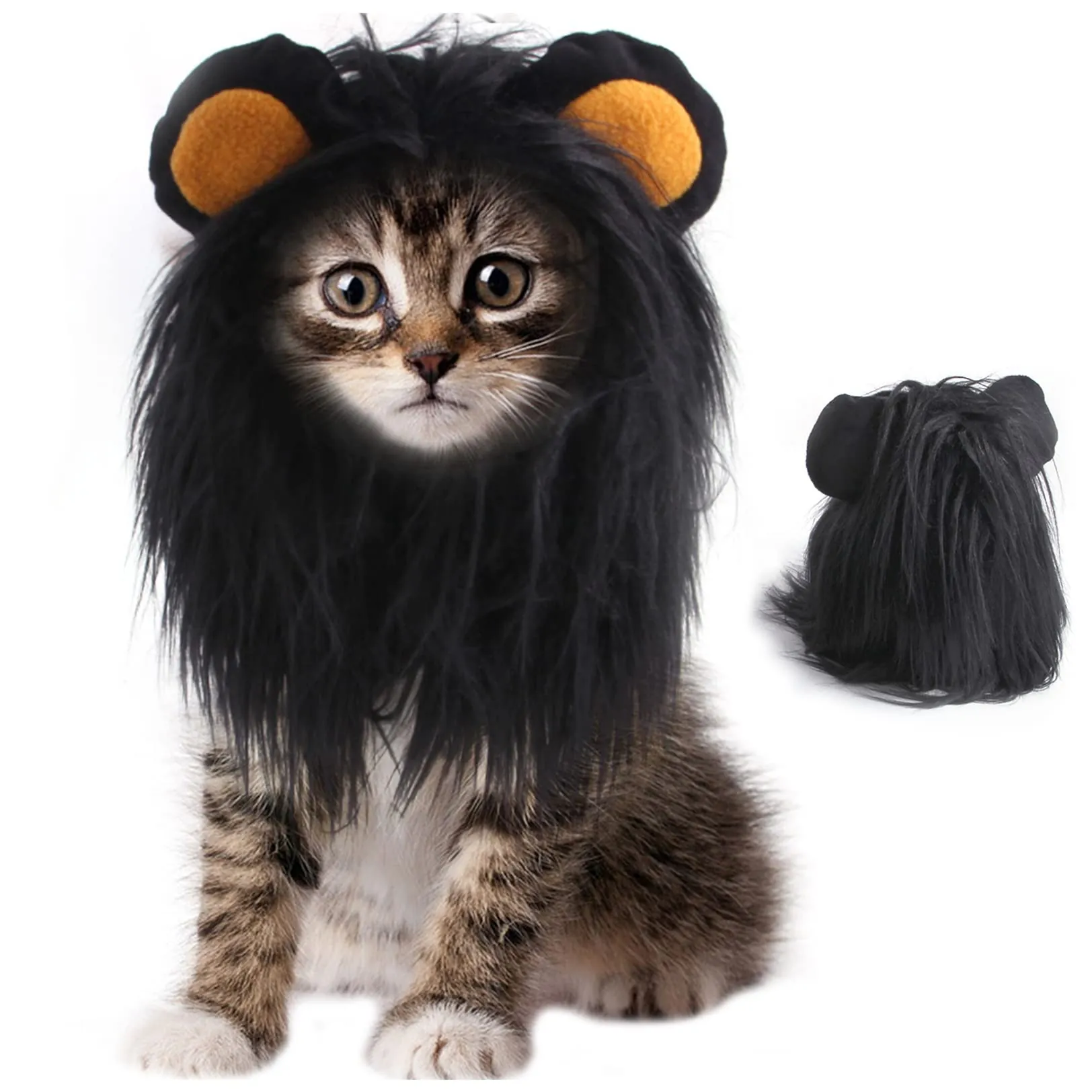 Cat Black Lion Mane Halloween Costume