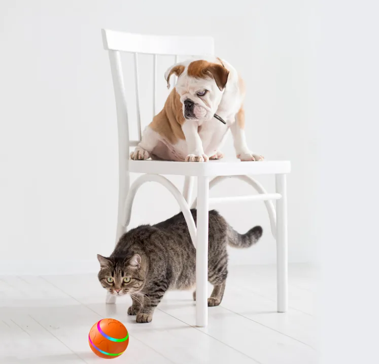 Wicked Self-Rotating Cat Ball