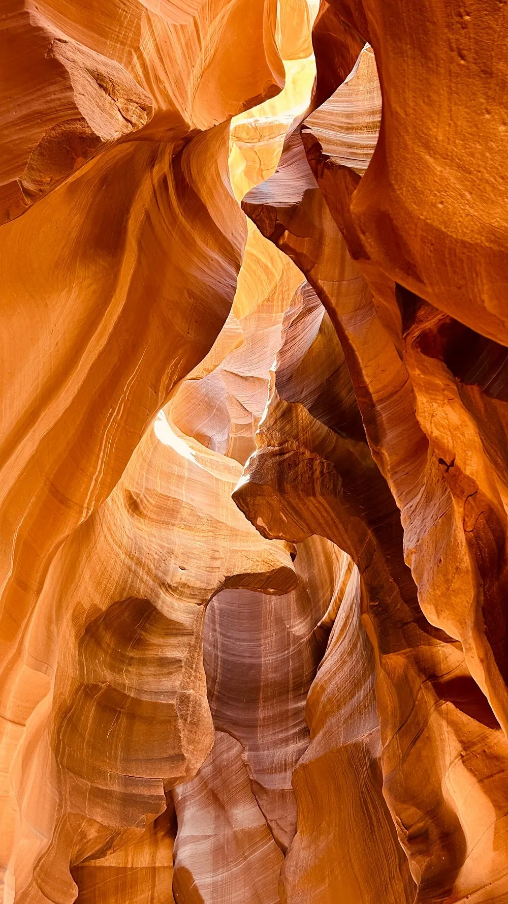 Welcome to High Desert Paddle Co. - A Family Business Built on Adventure