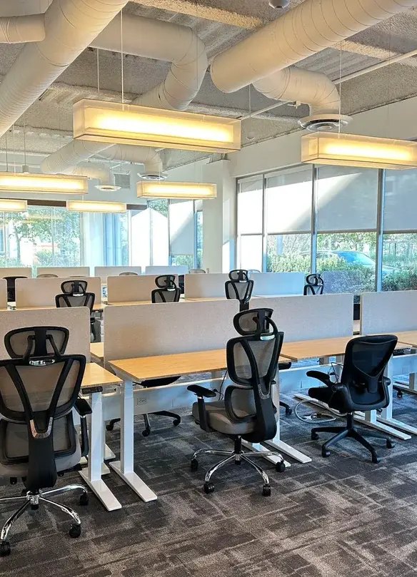 Spine office chair