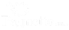 Palmetto eBikes