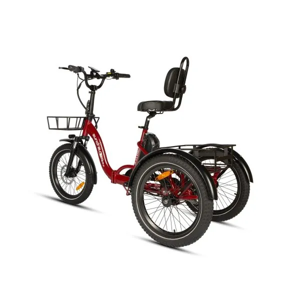 Electric trikes category