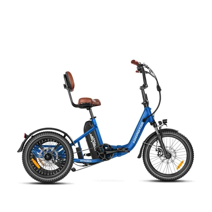 Trikes electric bike category