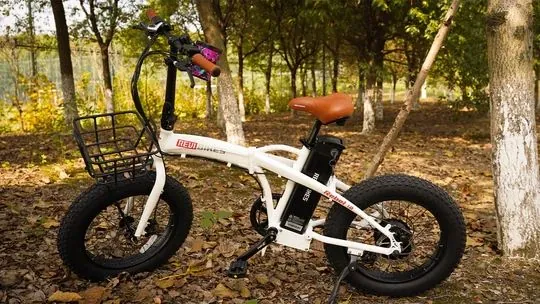 New REVI Folding Fat Tire eBike 48V/750W (Peak)