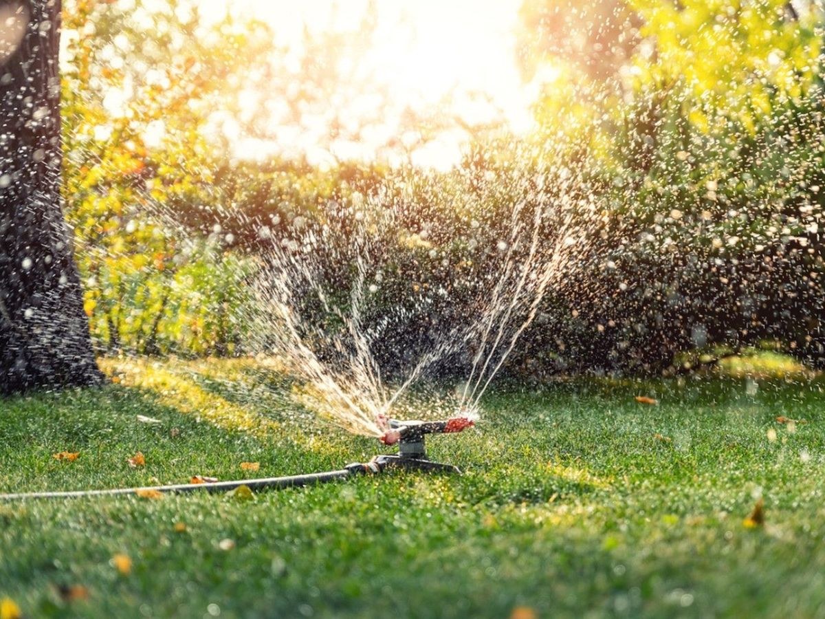 A lawn sprinkler watering healthy grass
