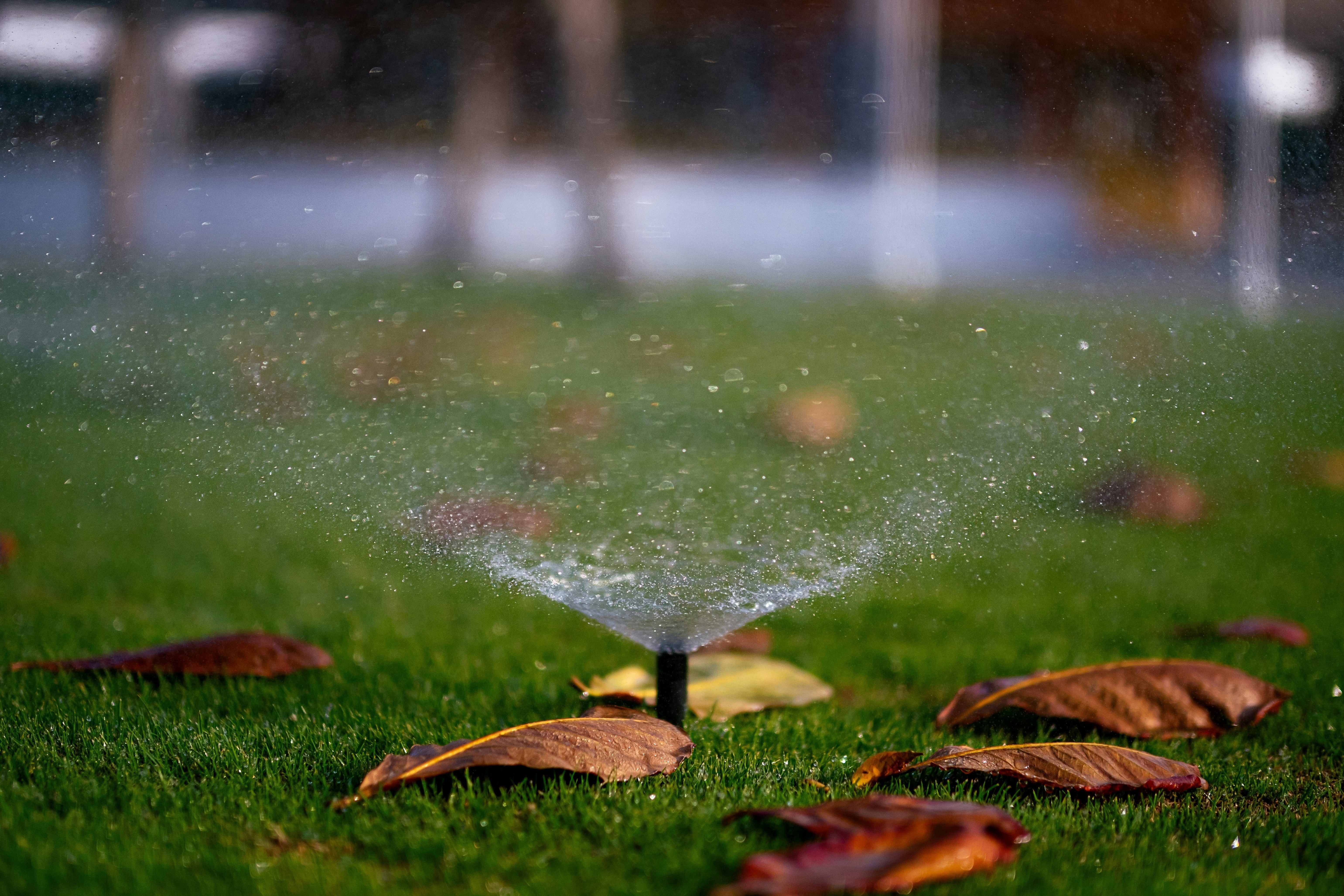 An autumn lawn sprinkler resting on green grass
