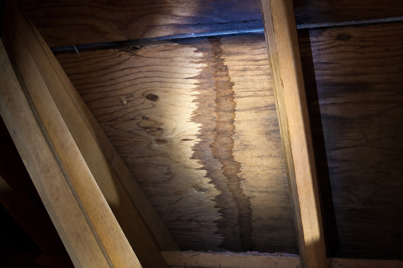 Water trail on residential attic roof sheathing illuminated during a careful inspection