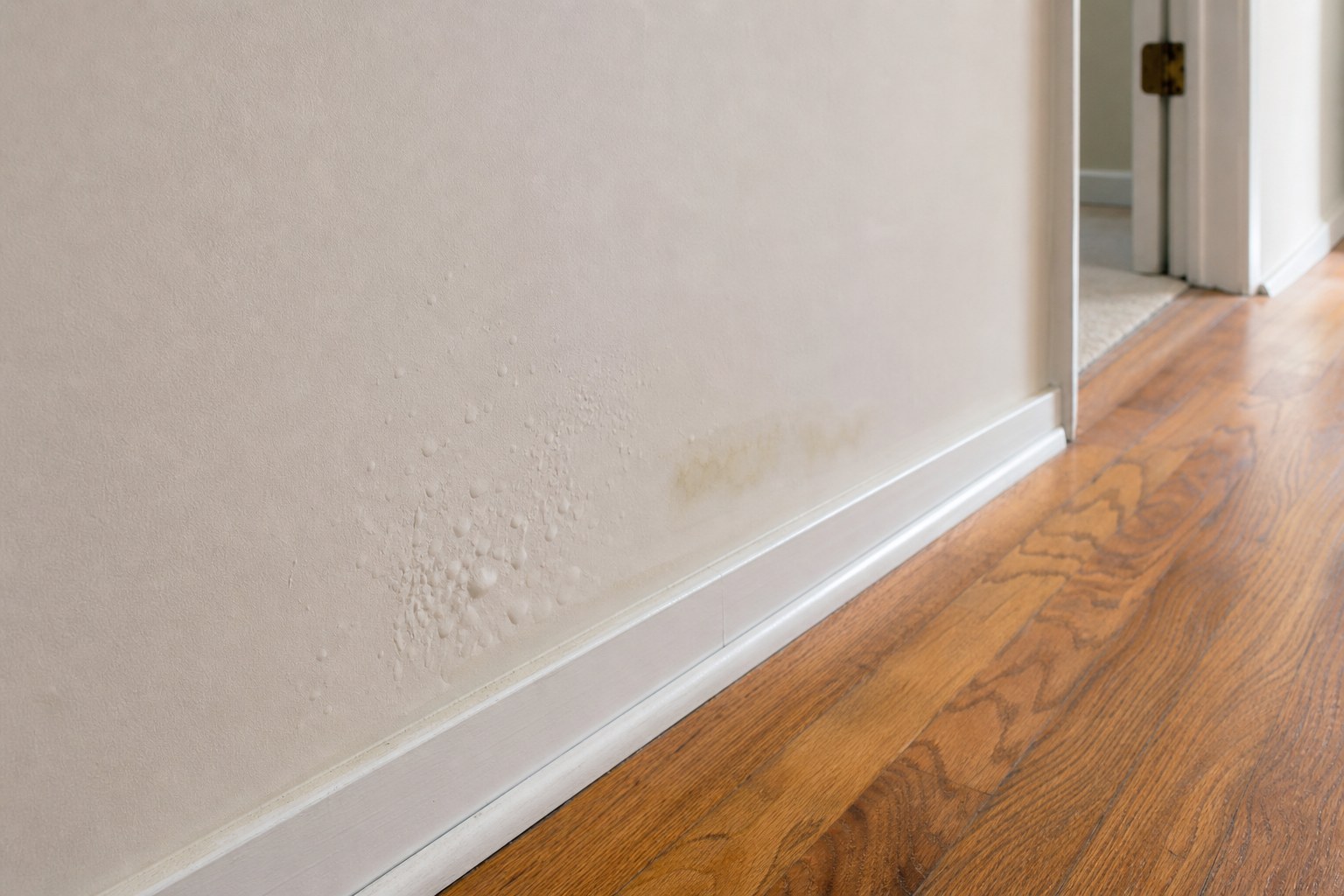 Bubbling paint and a faint water stain near a hallway baseboard