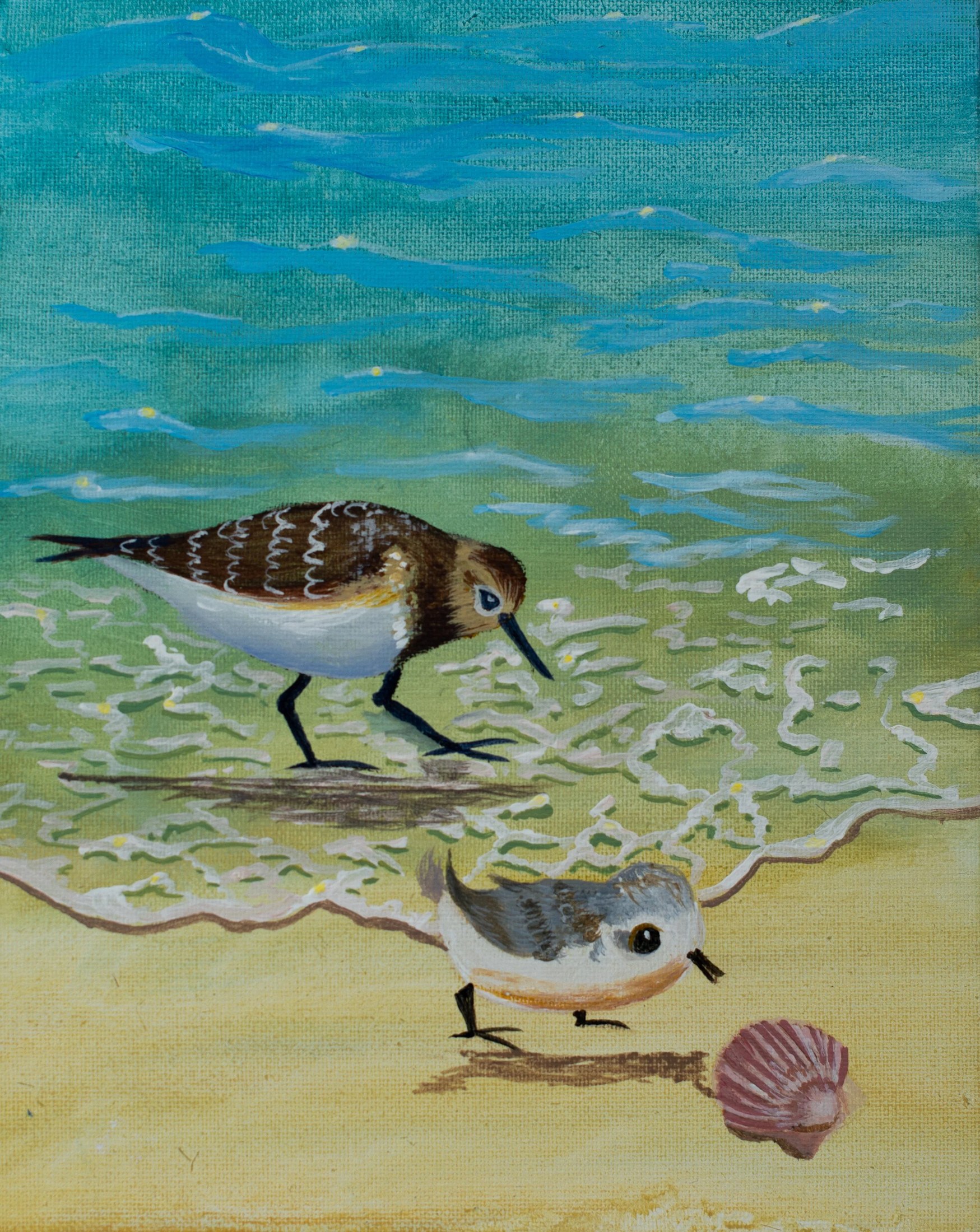 Painting of two small shorebirds on the beach, one standing in shallow water near the sand, with a seashell nearby.