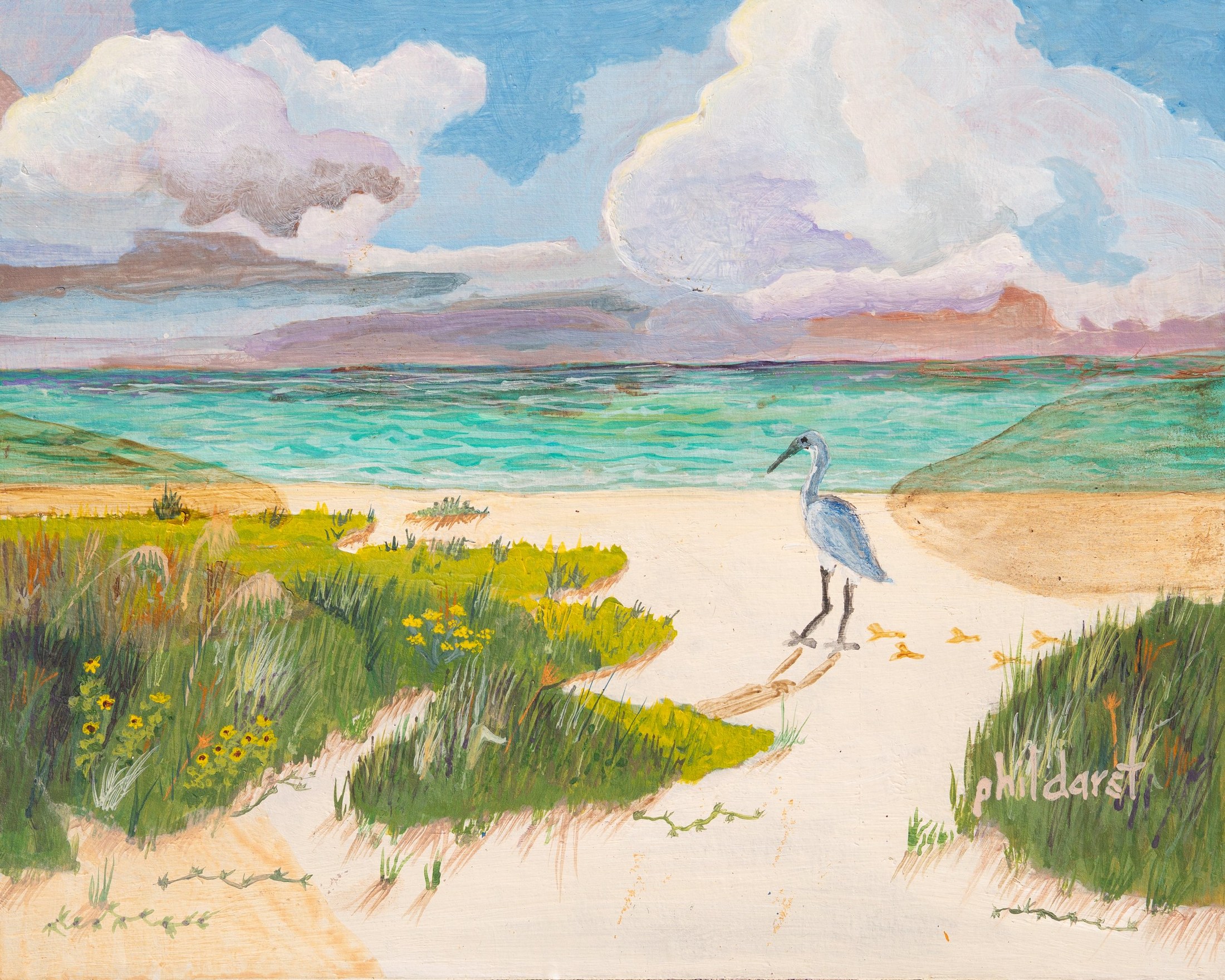 Blue Heron on Siesta Key Beach - Art Print — Phil Darst Art