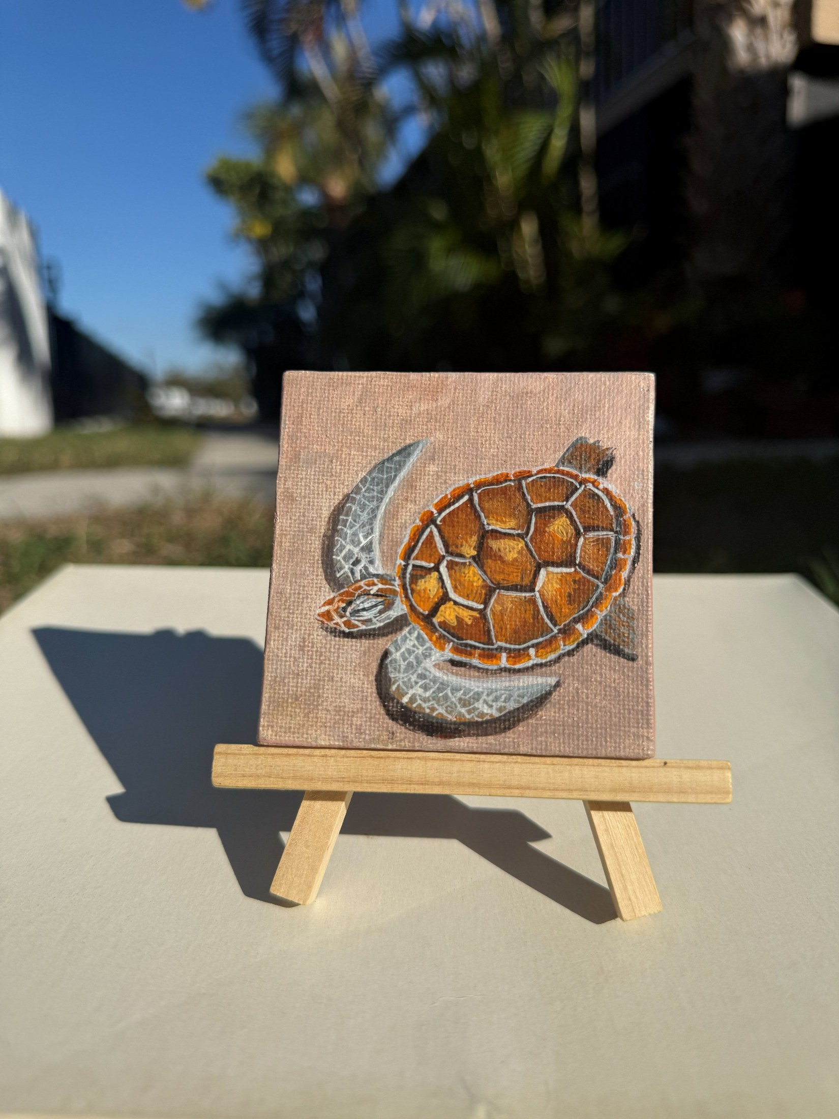 3 x 3" Original Hand-Painted Sea Turtle Artwork — Phil Darst Art