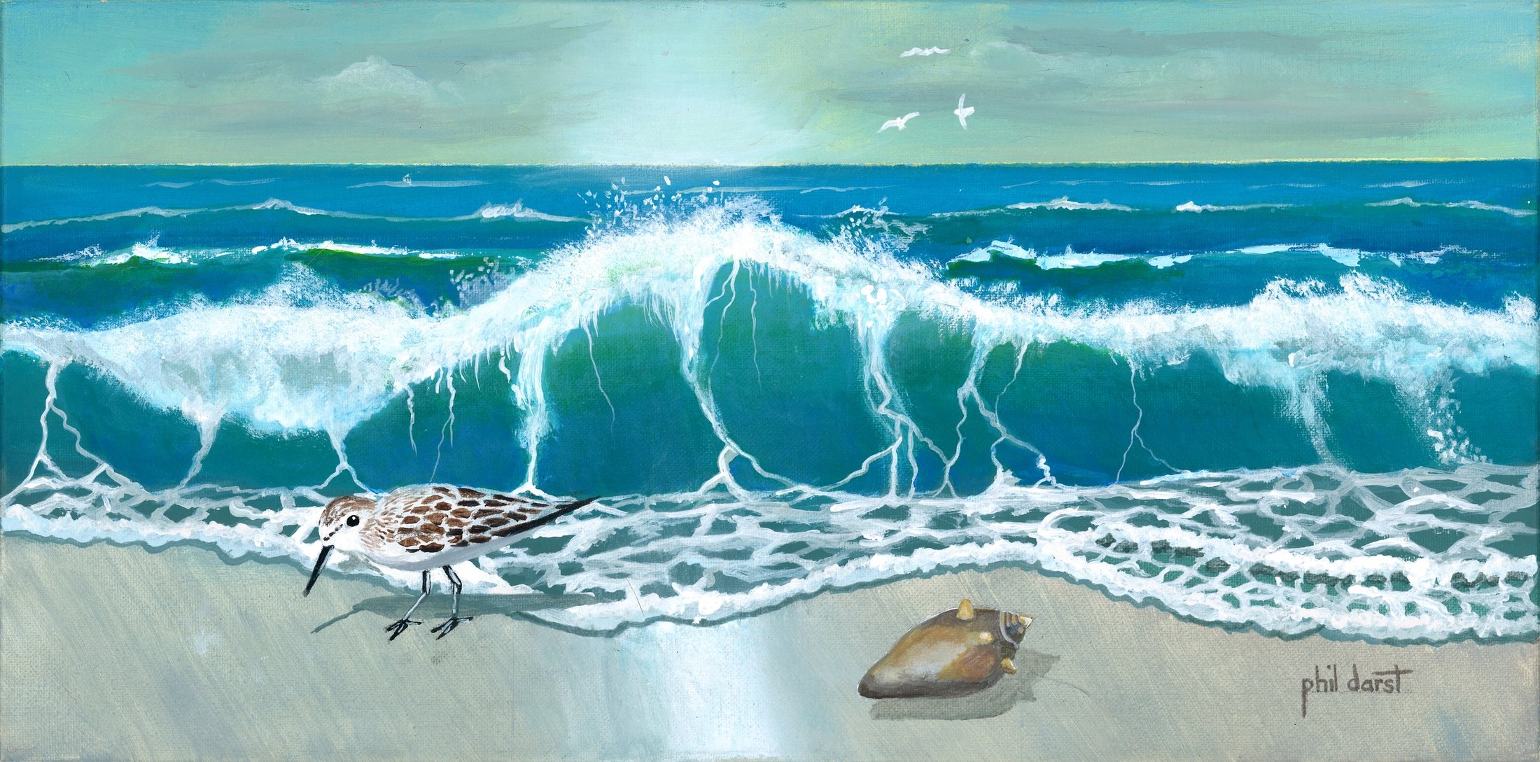Sandpiper and Seashell on Siesta Key Beach - Art Print — Phil Darst Art