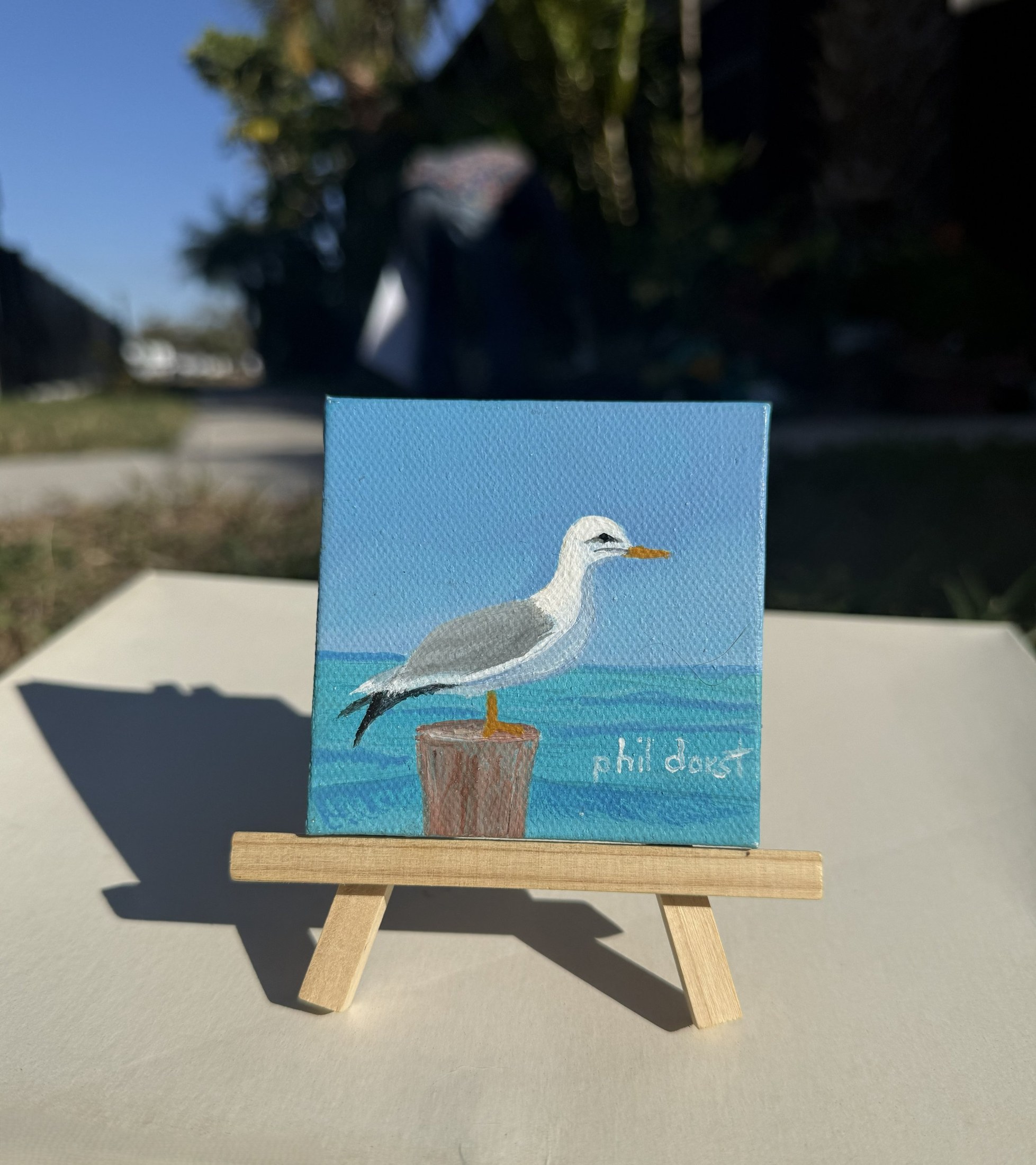 3x3" Original Hand-Painted Coastal Artwork- Seagull — Phil Darst Art